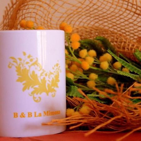 La Mimosa B&B Pula Esterno foto