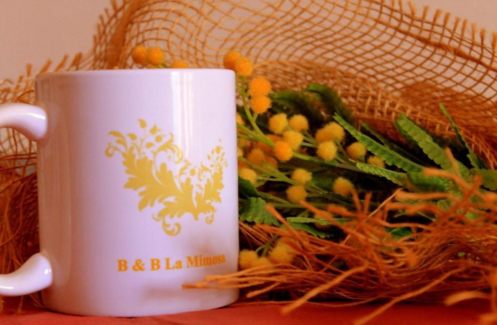 La Mimosa B&B Pula Esterno foto